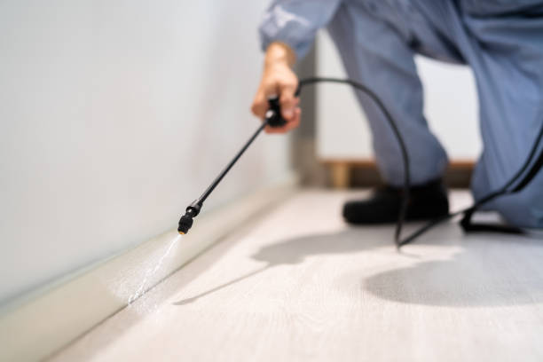 Best Pest Control for Homes  in Raymond, WA