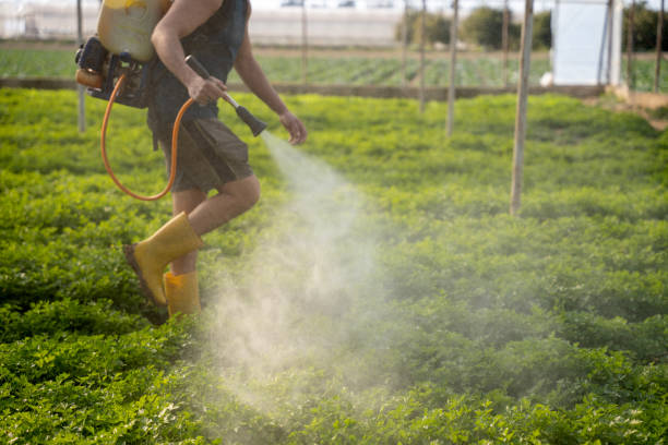 Best Pest Prevention Services  in Raymond, WA