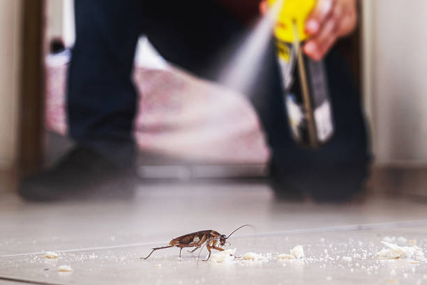 Best Emergency Pest Control  in Raymond, WA